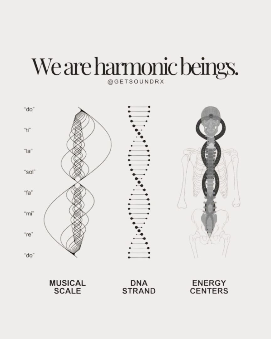 We are harmonic beings — musical scale, DNA strand, and energy centers